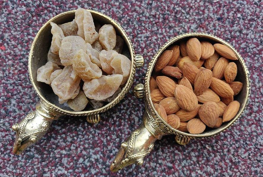 Tortoise Dryfruit Bowl