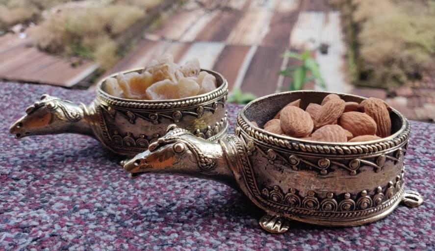 Tortoise Dryfruit Bowl