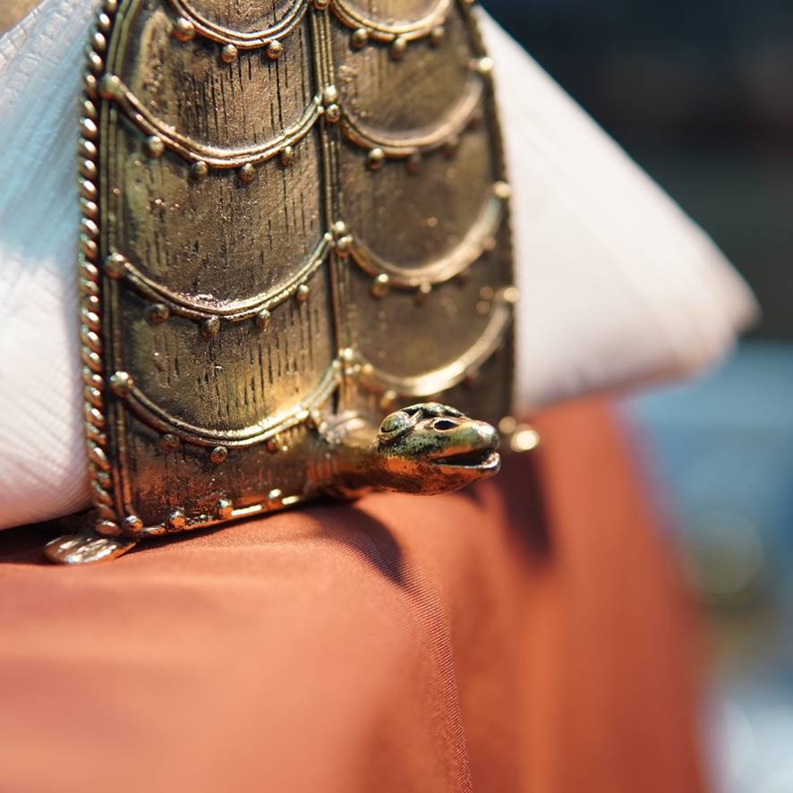 Tortoise Napkin Holder